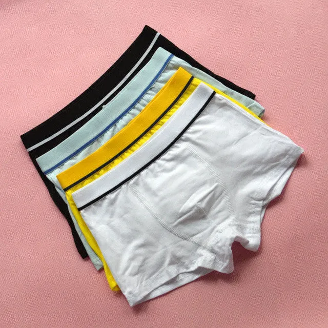 4 Pcs/lot High Quality Cotton Kids Boys Underwear