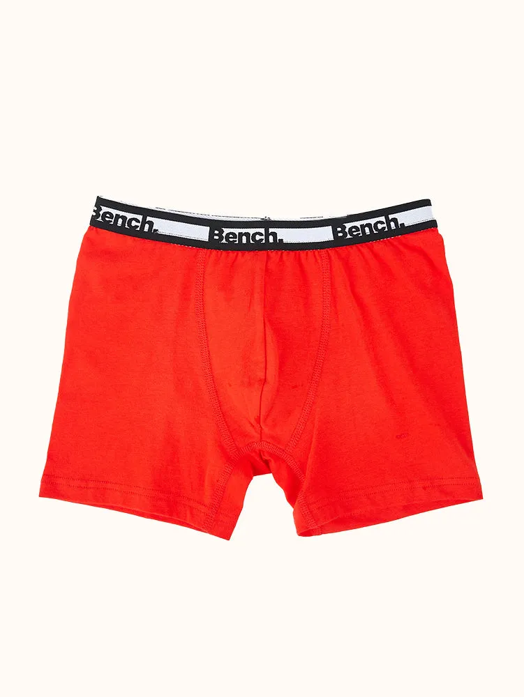 Boys' Holiday Boxer Briefs (3 Pack) - Assorted Colors