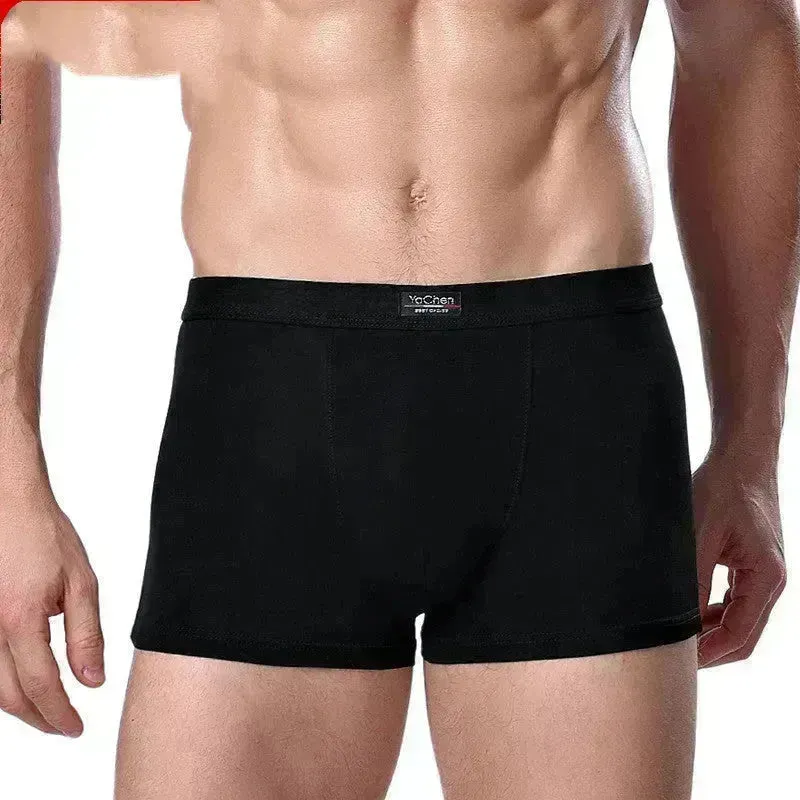 Men's Underwear Boxer Briefs Panties Bamboo Fiber Modal